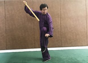 BATON de TAI JI QUAN